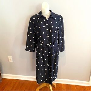 Sara Campbell vintage day dress belted navy white polka dots raw silk lined 6P